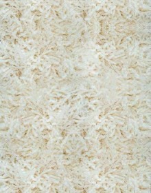 Високоворсний килим Shaggy Lama 1039-33026 - высокое качество по лучшей цене в Украине.